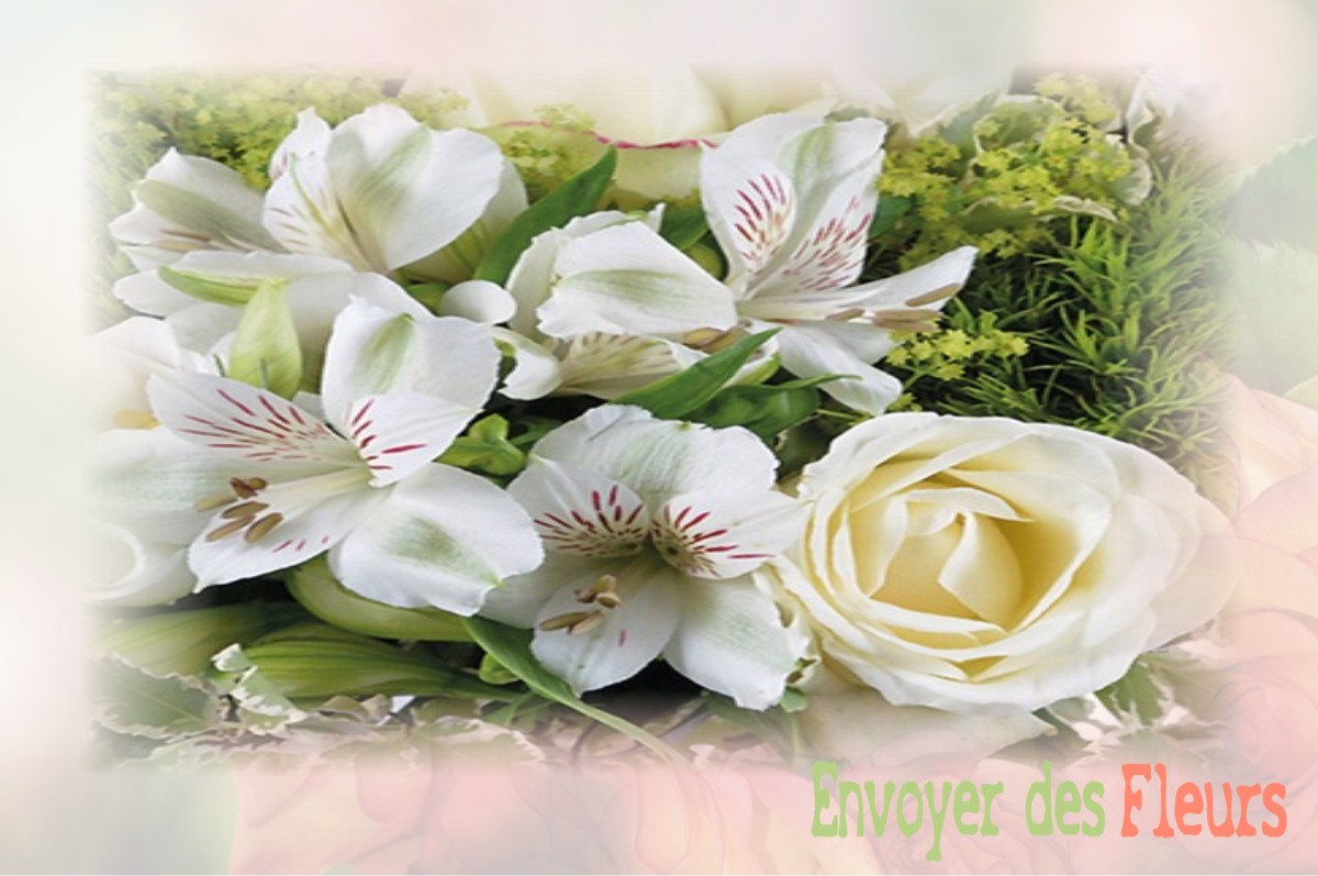 envoyer des fleurs à à VILLELONGUE-DE-LA-SALANQUE